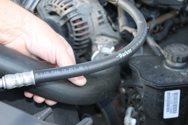 Seal It and Forget It: How to Identify a Coolant Leak in Your Car and Seal It Like a Pro
